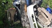 В Судогодском районе легковушка влетела в дерево