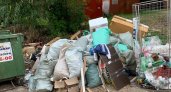 Владимирская мэрия пообещала убрать свалку, на которую жители жалуются месяцами