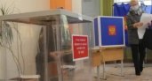 Во Владимирской области начинаются досрочные выборы губернатора
