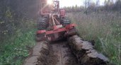Во Владимирской области привлечен к суду безответственный арендатор лесного участка