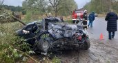 Жуткая авария в Камешковском районе: легковушка на скорости врезалась в дерево