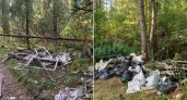 В лесу под Ковровом обнаружили крупную свалку