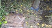 Во Владимирской области задержали разбиравших железную дорогу мужчин
