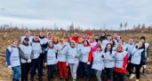 Более 7500 га леса посадили волонтёры Волго-Вятского банка Сбербанка