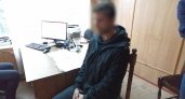 Во Владимирской области задержанные курьеры мошенников рассказали об их "работе"