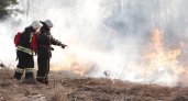 В рейтинге тушения лесных пожаров Владимирская область вошла в топ-5 регионов