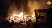 Во Владимирской области на пожаре в хозяйственной постройке погиб мужчина 