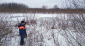 В Вязниках спасли женщину, которая провалилась под лёд на реке
