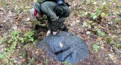 Мещерские краеведы обнаружили в Гусь-Хрустальном районе "Синь-камень"