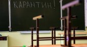 Около 20 классов во Владимирской области закрыли на карантин