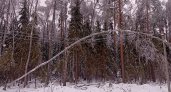 Областной прокурор поехал в Ковров контролировать восстановление энергоснабжения