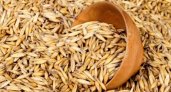 Во Владимирской области забраковали 3000 тонн зерна по требованиям безопасности