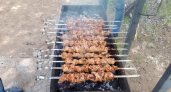 Дачникам во Владимирской области разрешат жарить шашлыки ближе к дому