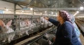 В Год кролика в Ковровском районе закрывают предприятие по разведению кроликов
