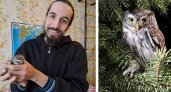 Под Владимиром селяне спасли редкого воробьиного сыча
