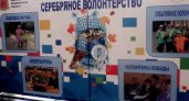 В Совете Федерации высоко оценили деятельность серебряных волонтеров Владимирской области
