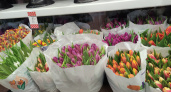 К 8 марта тюльпаны из Владимирской области "разлетелись" по другим регионам России
