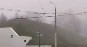 Синоптики обещают владимирцам туманную погоду