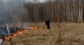 Во Владимирской области волонтеры спасли от пожара 250 собак