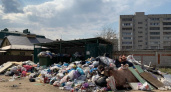 Губернатор Авдеев озабочен ситуацией с вывозом мусора в Коврове