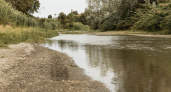 Во Владимирской области одну из рек загрязнили жидким навозом