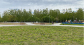  Общественники пожаловались на туалеты и площадки для выгула собак в парке "Добросельский"