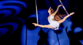 Воздушные гимнасты и дрессированные таксы: знаменитый цирк во Владимире 