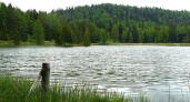 На озере Гусинка в Добром утонул 15-летний подросток 
