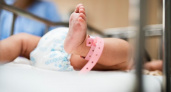 За прошедшую неделю во Владимирской области родилось 158 малышей