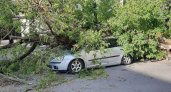 Во Владимирской области вновь осудили управляющую компанию за порчу автомобиля частью дерева