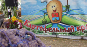 В Меленковском районе проходит День картошки