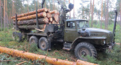 Безработный лесоруб из Гусь-Хрустального района "нарубил дров" на 630 тысяч рублей