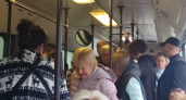 В России заговорили о бесплатном проезде на общественном транспорте