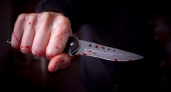 Кольчугинский "убийца с двумя ножами" получил 9 лет колонии строгого режима