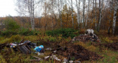 В охотничьих угодьях Юрьев-Польского района нашли 5 несанкционированных свалок