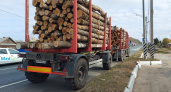 Во Владимирской области остановили два лесовоза-нелегала