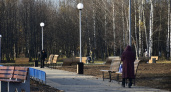 Парк "Добросельский" во Владимире будет благоустраивать подрядчик из Коврова