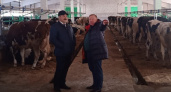 В Вязниковском районе восстановили 2 фермы на 400 голов