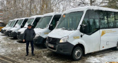 Для Владимирской области закупят 80 новых автобусов