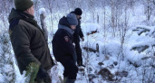 В Вязниковском районе ищут браконьера, убившего лося 