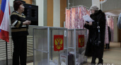 Выборы президента во Владимирской области будут проходить и в форме электронного голосования