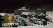 Губернатор Авдеев заявил о готовности расторгнуть контракт на вывоз мусора с ООО "Биотехнологии"