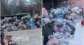 Мусорный коллапс во Владимире: власти привлекут к уборке мусора сторонние организации