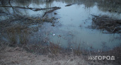 Владимирская область вошла в топ-3 регионов России с самыми грязными водоемами