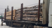 Из Владимирской области в зону СВО отправили бревна и пиломатериалы 