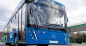Белоруссия поставит во Владимир 20 новых автобусов