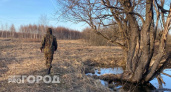 В Петушинском районе сточные воды погубили более 100 деревьев