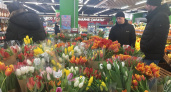 От 60 до 160 рублей: владимирцы выбирают тюльпаны к 8 Марта