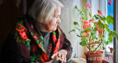 "Будет вторая пенсия": россиян, доживших до 60-65 лет, ждет приятный сюрприз