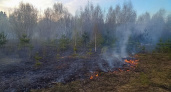 Во Владимирской области спасатели потушили очередной ландшафтный пожар 